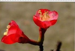 明星突然现身热搜：到底发生了什么让网友炸锅？