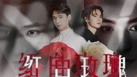 明星突然现身热搜:到底发生了什么让网友炸锅?
