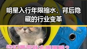 明星入行年限缩水，背后隐藏的行业变革