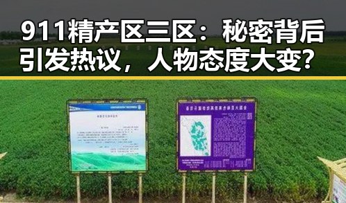 911精产区三区：秘密背后引发热议，人物态度大变？