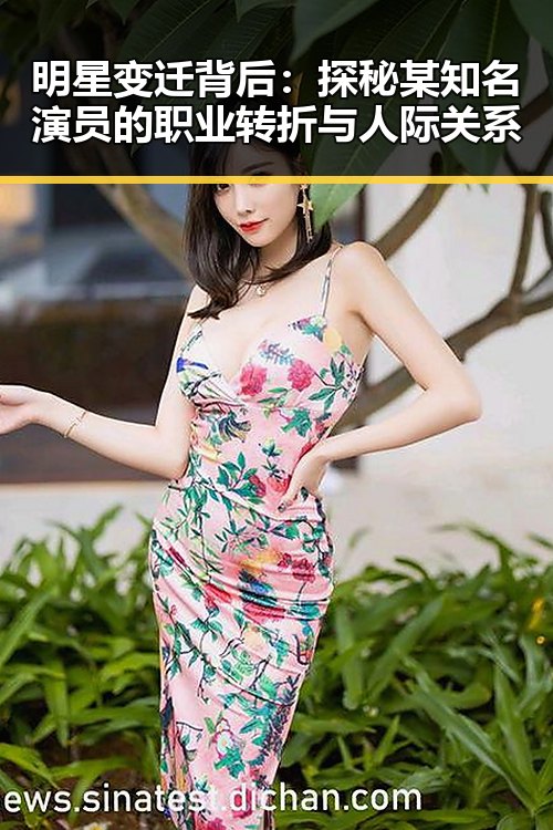 明星变迁背后：探秘某知名演员的职业转折与人际关系