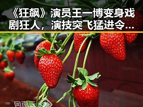 《狂飙》演员王一博变身戏剧狂人，演技突飞猛进令人惊艳🔥